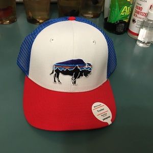 Patagonia Fitz Bison Trucker Hat